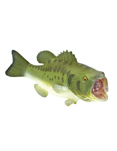 Bass wielkogębowy