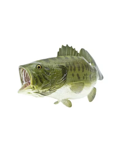 Bass wielkogębowy