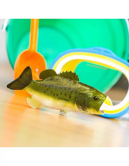 Bass wielkogębowy