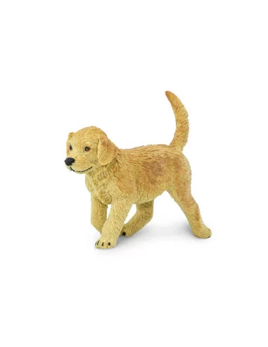 Szczenię rasy Golden retriever