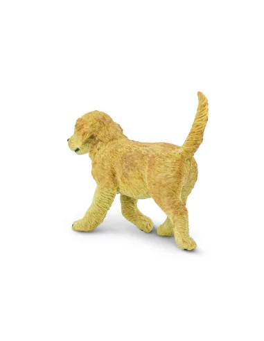 Szczenię rasy Golden retriever