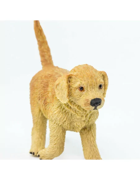 Szczenię rasy Golden retriever