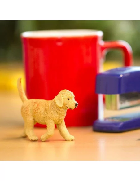 Szczenię rasy Golden retriever