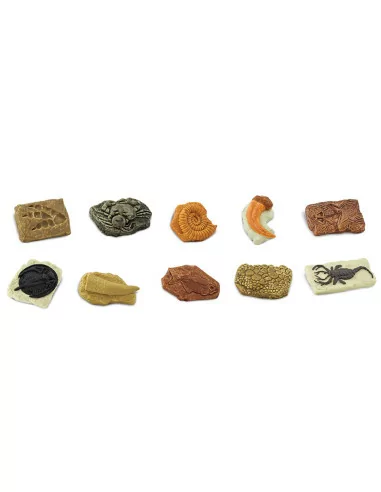 Tuba - Skamieniałości