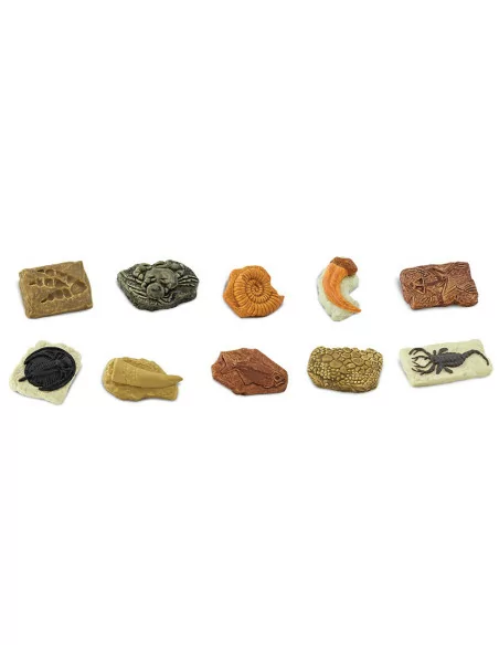 Tuba - Skamieniałości