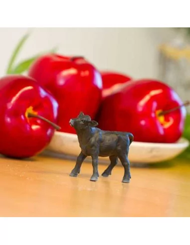 Aberdeen angus cielę