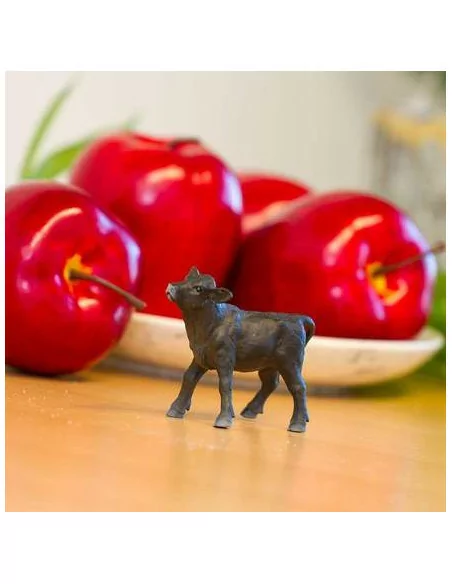 Aberdeen angus cielę