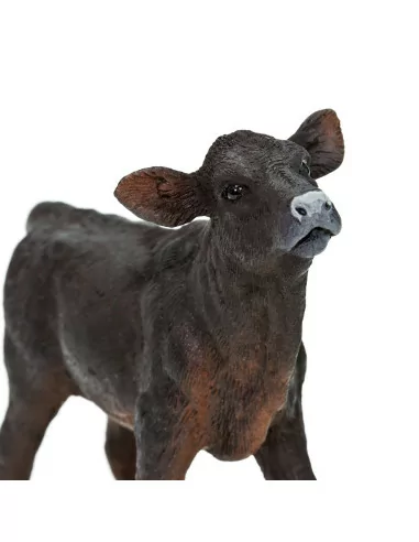 Aberdeen angus cielę