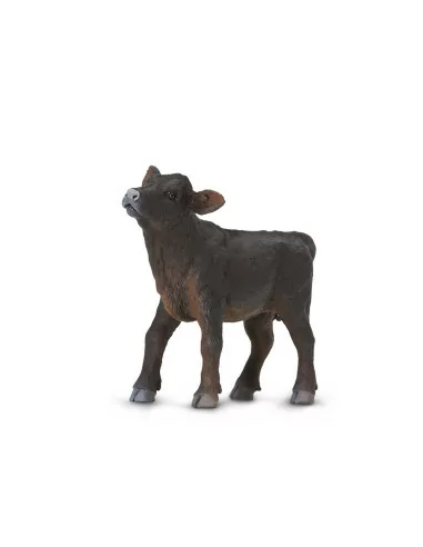 Aberdeen angus cielę