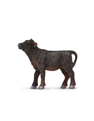 Aberdeen angus cielę