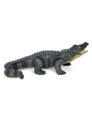 Krokodyl
