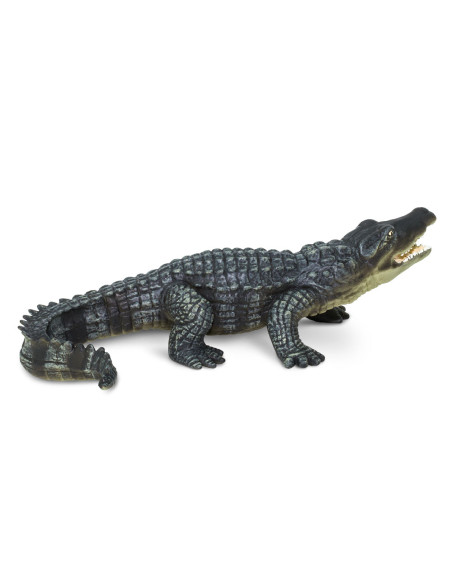 Krokodyl