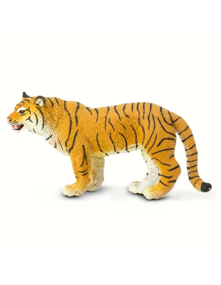 Samica tygrysa bengalskiego