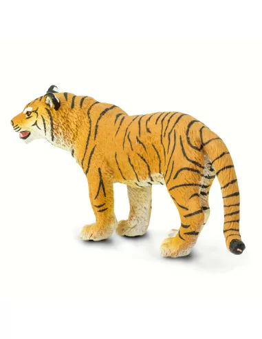 Samica tygrysa bengalskiego