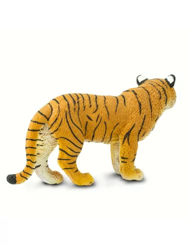 Samica tygrysa bengalskiego