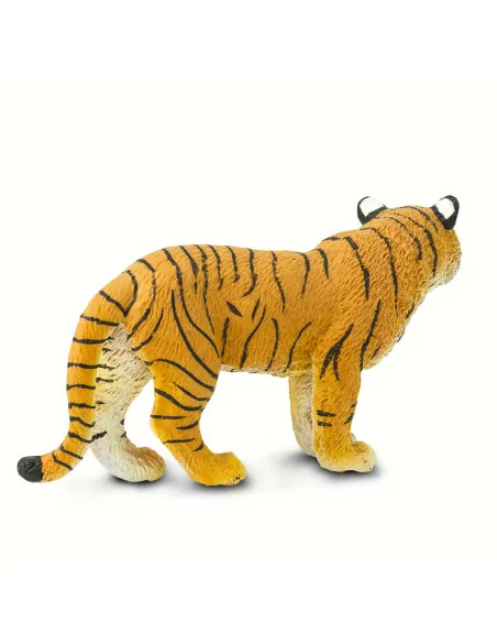 Samica tygrysa bengalskiego