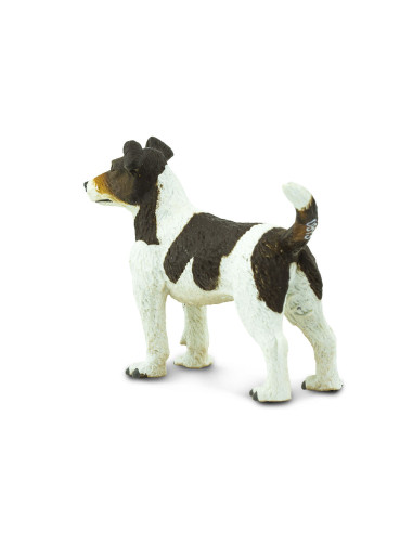 Jack Russell terrier