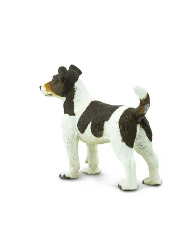 Jack Russell terrier