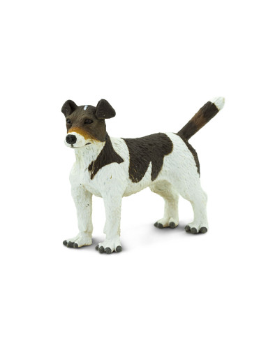 Jack Russell terrier