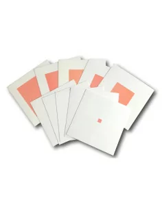 Karty kontrolne do Różowej...