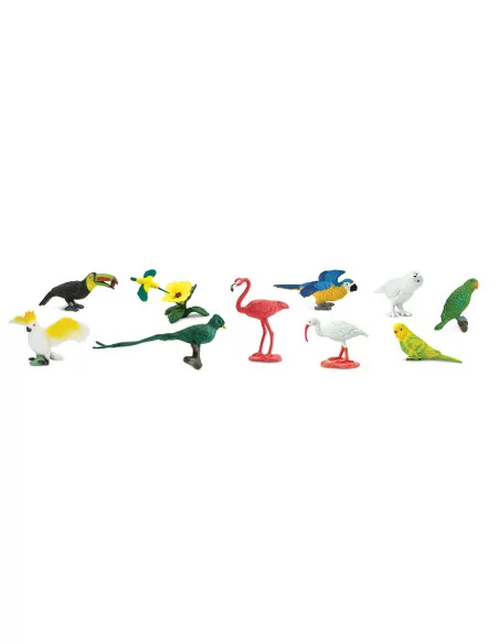 Tuba - Ptaki egzotycne