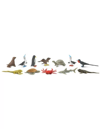 Tuba - Zwierzęta na Galapagos