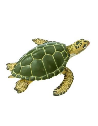 Żółw zielony