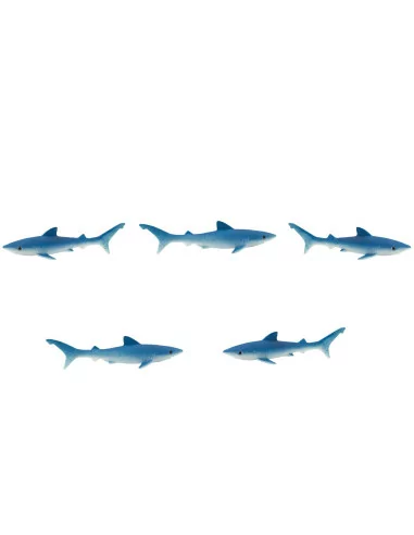 Żarłacze błękitne - Good Luck Minis