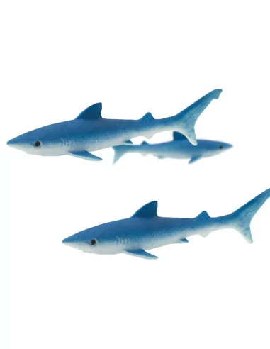 Żarłacze błękitne - Good Luck Minis