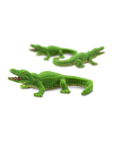 Aligatory - Good Luck Minis