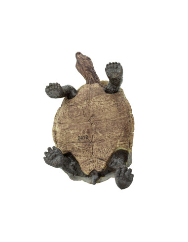 Żółw stepowy