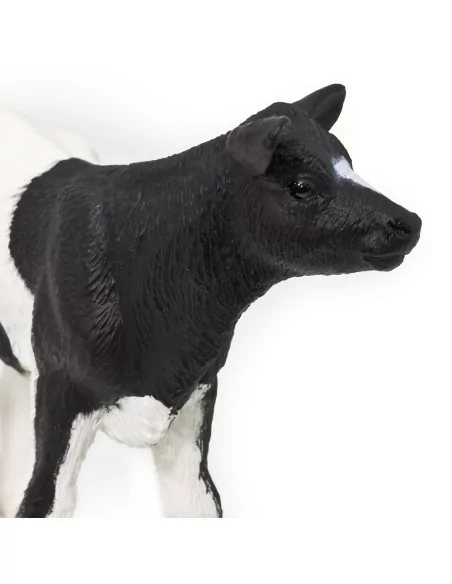 Cielę rasy holsztyno-fryzyjskiej