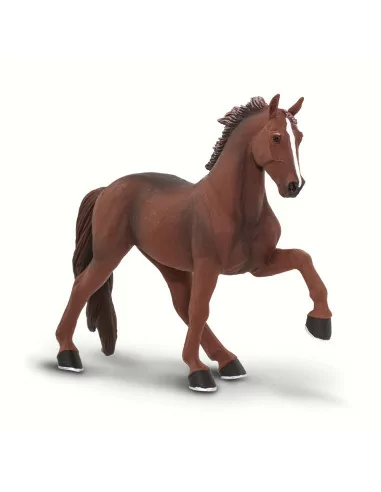 Koń Tennessee Walking