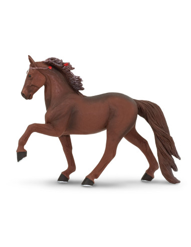 Koń Tennessee Walking