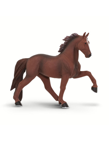 Koń Tennessee Walking