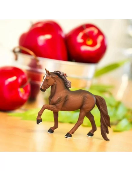 Koń Tennessee Walking