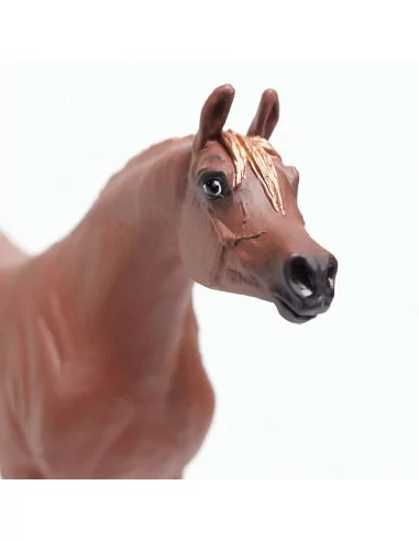 Klacz rasy Arabskiej