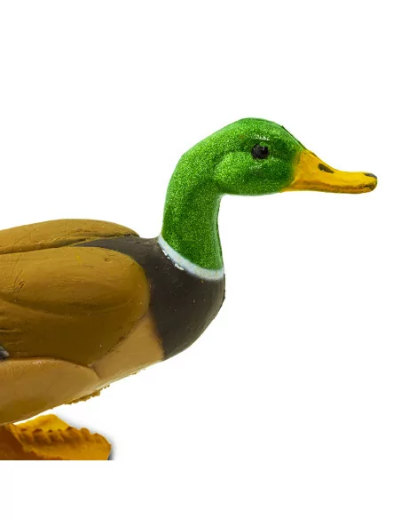 Kaczka