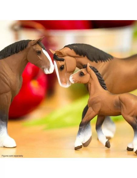 Źrebak rasy Clydesdale