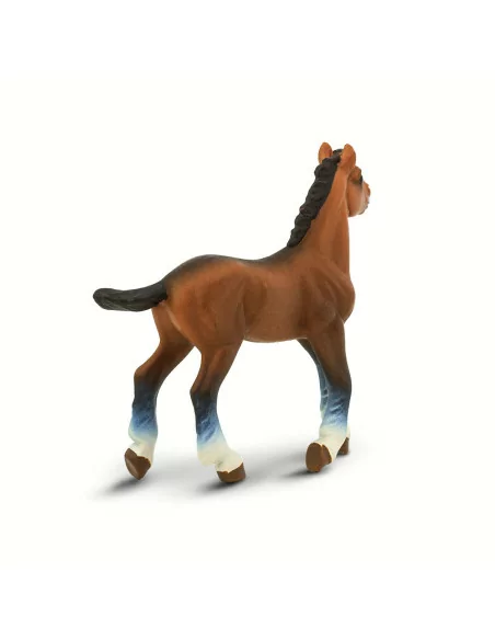 Źrebak rasy Clydesdale