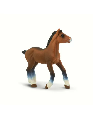 Źrebak rasy Clydesdale