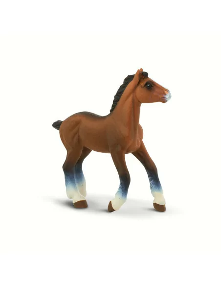 Źrebak rasy Clydesdale