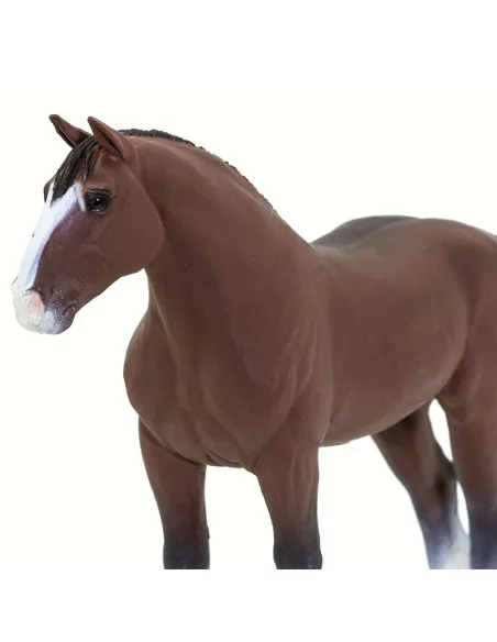 Koń rasy Clydesdale