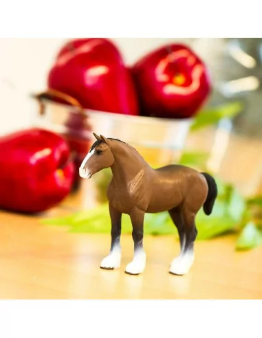 Koń rasy Clydesdale