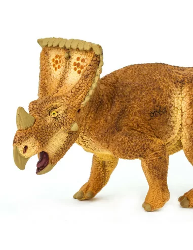 Vagaceratops
