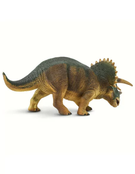 Triceratops