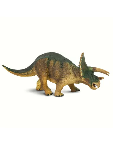 Triceratops
