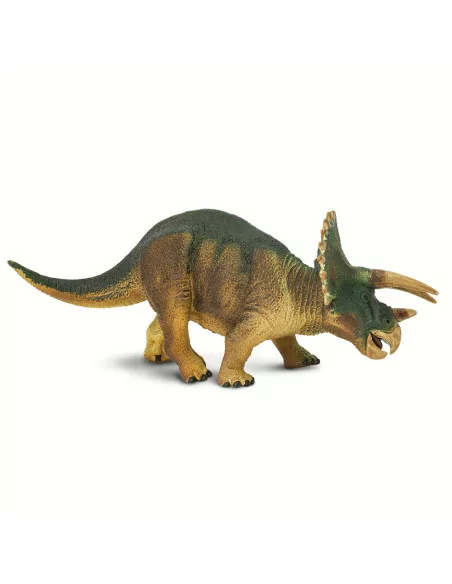 Triceratops