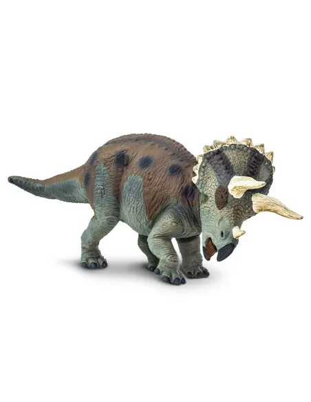 Triceratops