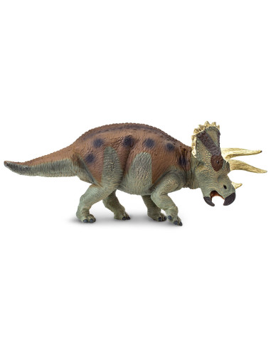 Triceratops